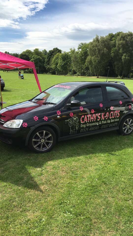 The Cathy's K-9 Cuts branded car with pink paw prints, parked beside the gazebo on a field